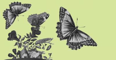 Abstract illustration
