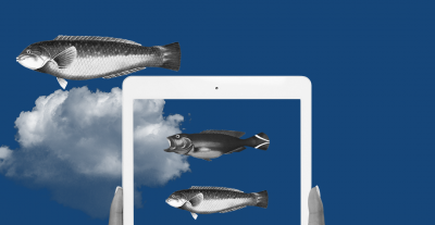 Abstract illustration of iPad and fish
