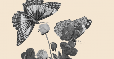 Abstract illustration of heart and butterflies