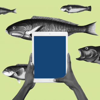 Abstract illustration of iPad and fish